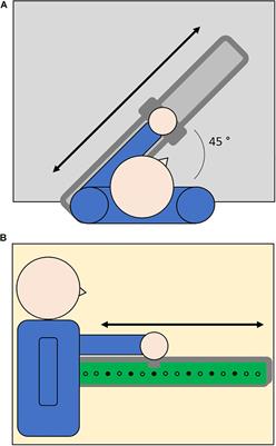 Audio-Motor Training Enhances Auditory and Proprioceptive Functions in the Blind Adult